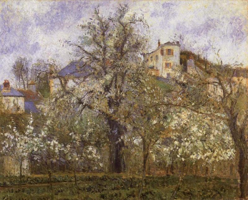 Camille Pissarro Vegetable Garden and Trees in Blossom oil painting image